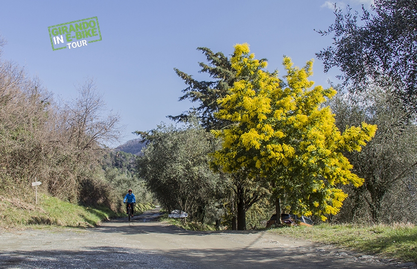 Percorso-Colline-del-Sole-10